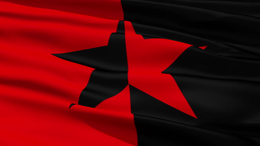Red and Black Star Flag, symbolizing the co-existence of anarchist and socialist ideals.