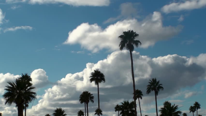 Time Lapse, Blue sky, clouds, sweep across palm tree studded landscape. 1080p