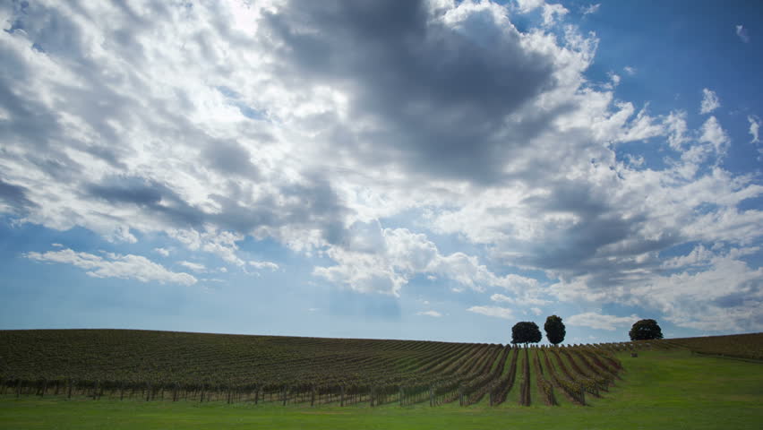 Time lapse over a vineyard