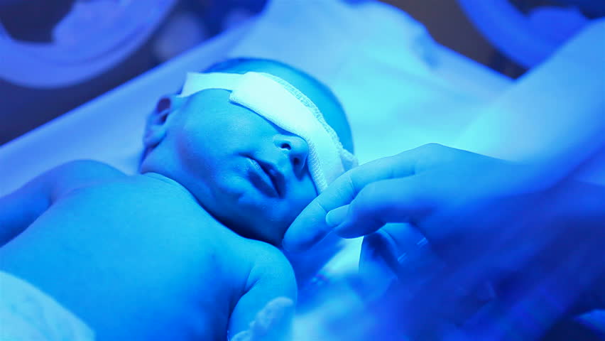 premature baby in an incubator