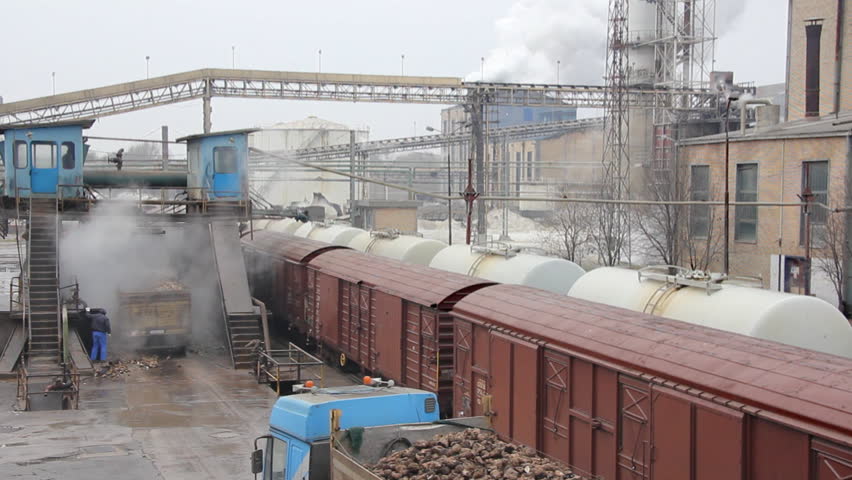 Sugar beet on a trunks goes to the food processing plant, Sugar Factory