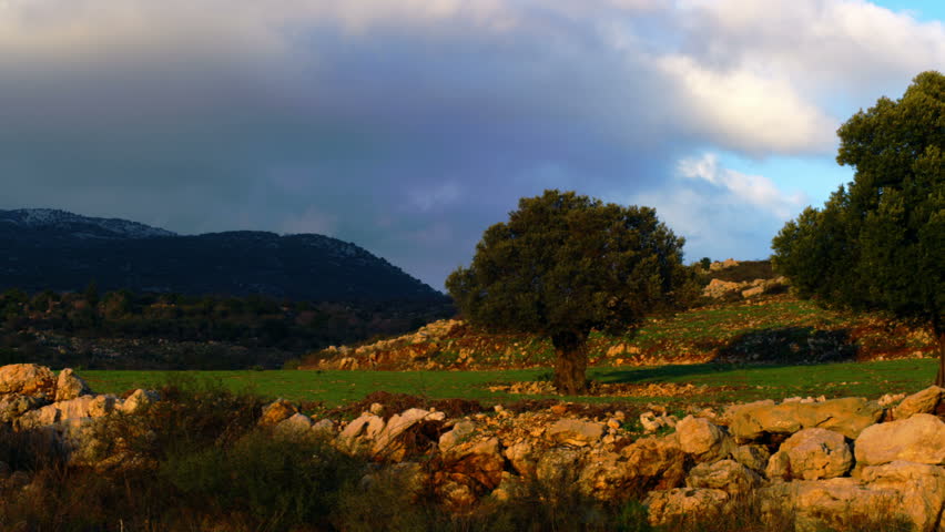 Early morning shot, pan from left to right, taken of the pastoral hillside behind the Nimrod Fortress in the Golan Heights, Israel.  