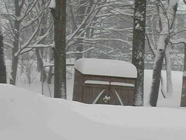 Shed Buried in Snow