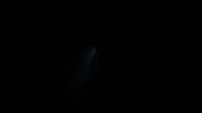 Scary Skeleton Montage HD Loop