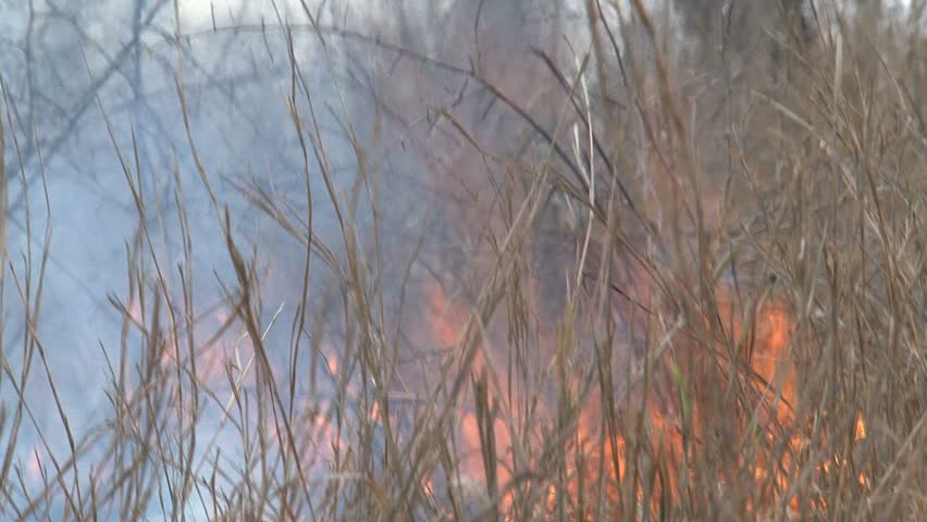 CU of wildfire raging in South African savanna