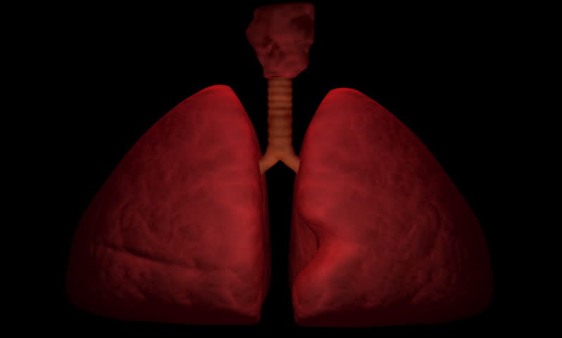 footage of a human lungs