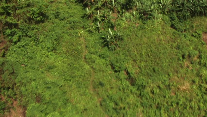 HD: Circling native villager from a helicopter