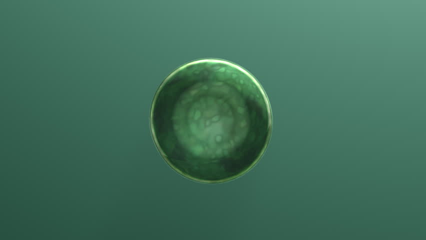An evolution of green cells