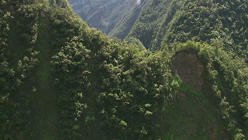 Aerial inside of a valley on the northern side of Hawaii island