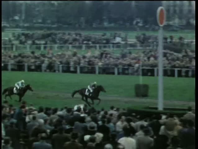 Horses crossing the finish line at horse race