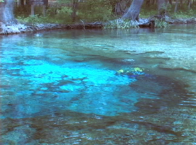 A scuba diver swims around the opening to the cave at Ginnie Springs in High Springs, Florida