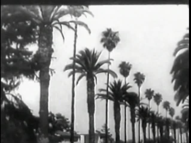 1950s cars moving along tree-lined road and highway