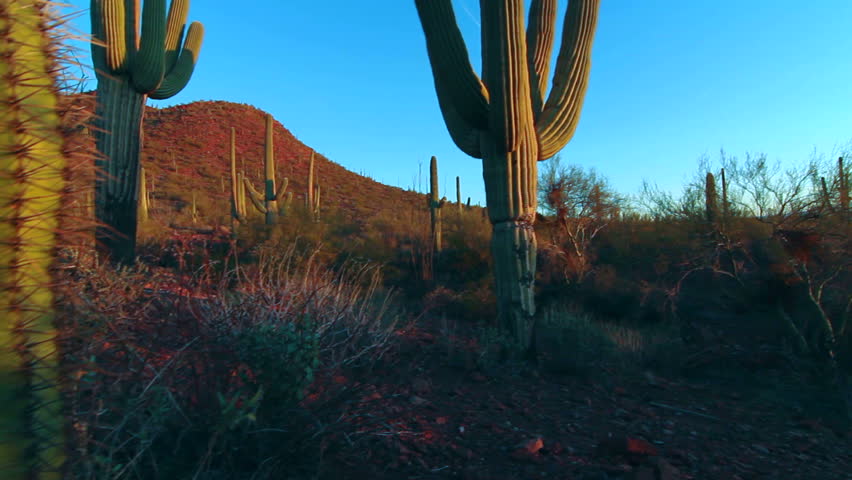Crane shot, Swoop across desert terrain, over sharp needle close-up of saguaro cactus to Arizona desert scenic. 1080p