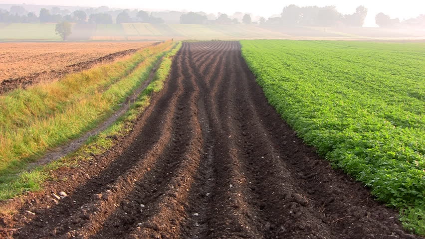 Zoom to plowed soil