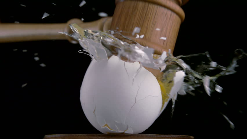 Gavel smashes egg