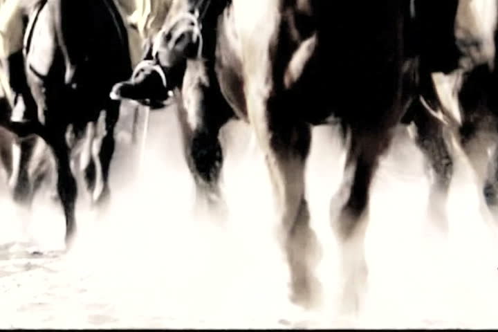 slow-motion of cavalry horses.