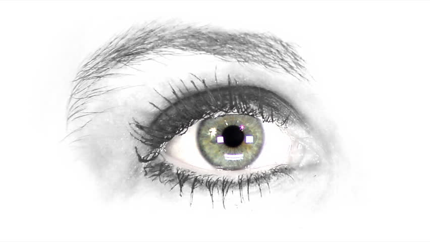 Close up HD clip of a beautiful green eye looking around.