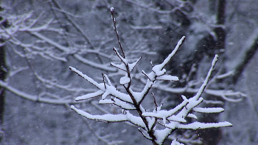 winter park
