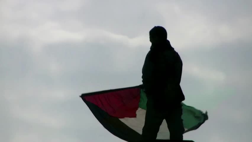 CAIRO, EGYPT - JAN 25: Protester on a light pole waving the Palestinian flag in Tahrir square, Cairo, Egyp on January 25, 2012, anniversary of the Egyptian Revolution.