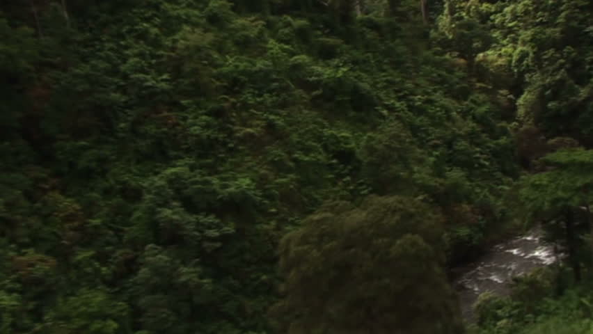 HD: Flying down a jungle river in the Philippines