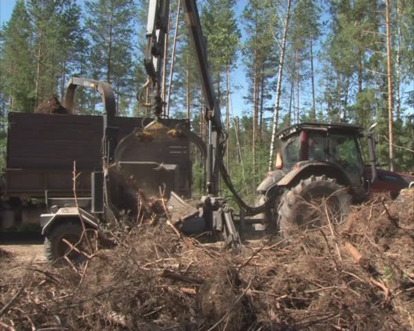 Special machinery chop tree branches. Clean organic fuel production. 