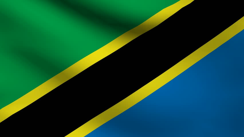 Tanzania flag.