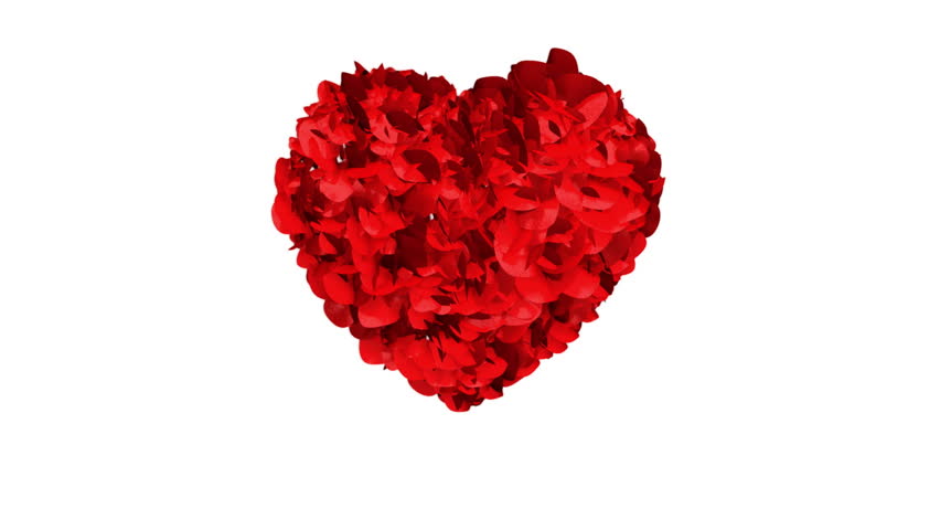 Heart of Rose Petals exploding