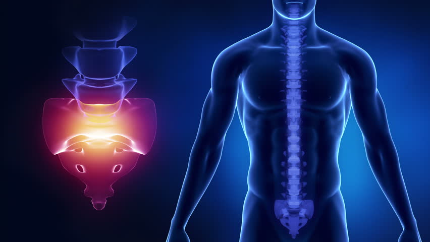 Focused on spine SACRAL region in loop