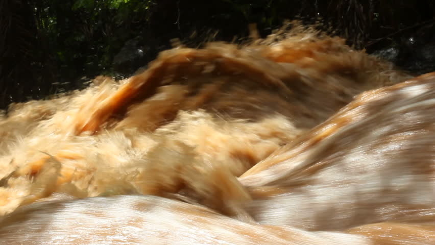 Mud and water pouring down a jungle watercourse after very heavy rain. On the Pacific coast of Ecuador.
