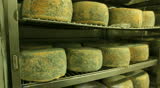 Blue cheese gouda Factory food process parmesan swiss dairy feta france milk