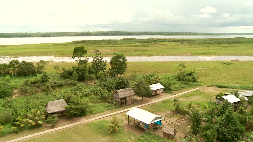 Rain Forest from Abaove with little Village