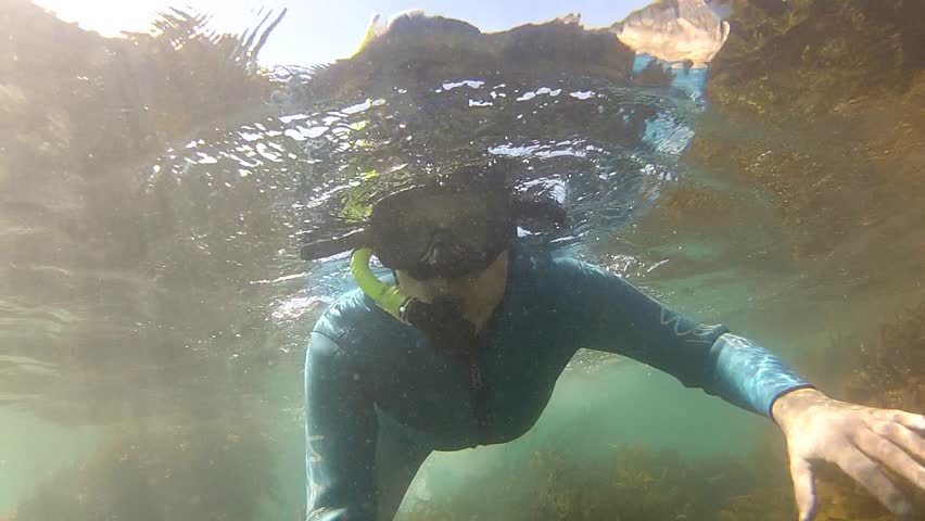 Snorkeler watching around underwater in marine reserve Goat Island in New Zealand.