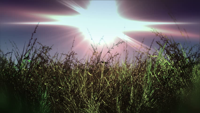 Meadow 3D render surrelasitic mysterious