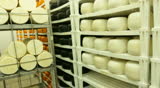 Blue cheese gouda Factory food process