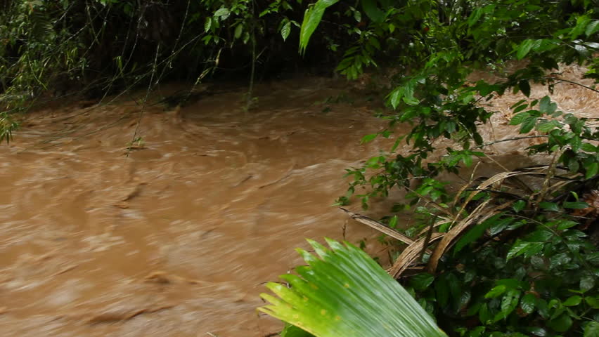 Mud and water pouring down a jungle watercourse after very heavy rain. On the Pacific coast of Ecuador.