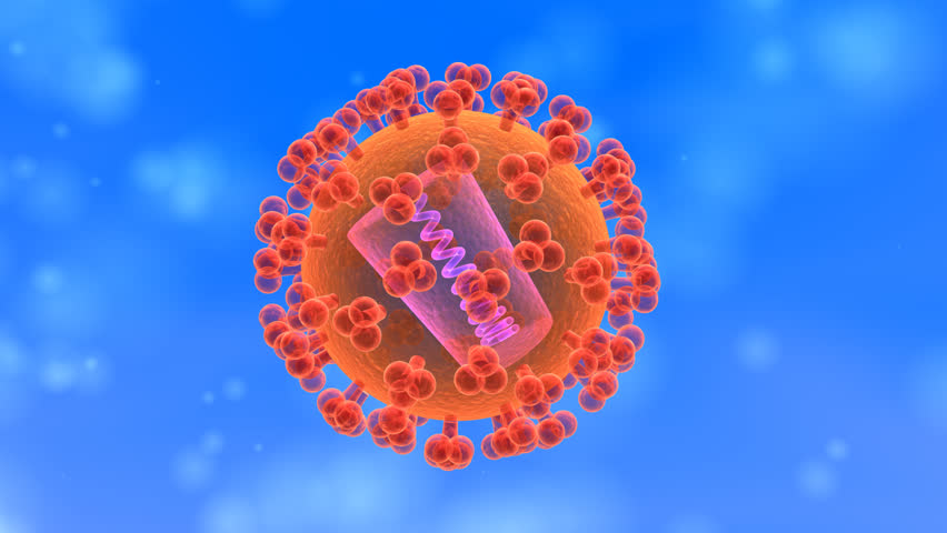 HI virus animation