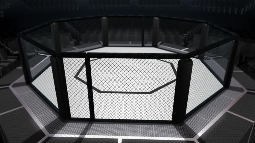 Octagon Fighting Arena: A seamless looping animation of a UFC style mixed martial arts fighting cage. Camera spins around, above and below the ring.