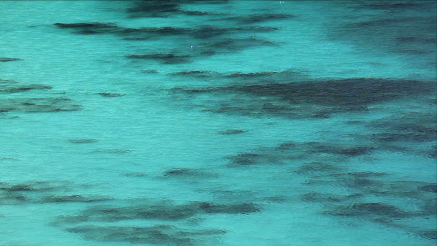 background of tropical sea clear water with corals and rocks