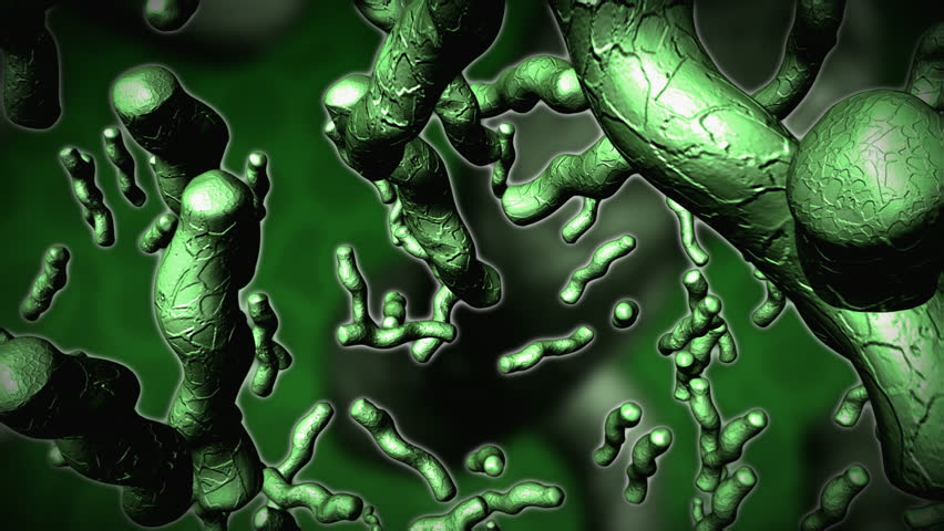3D animation of Bacteria