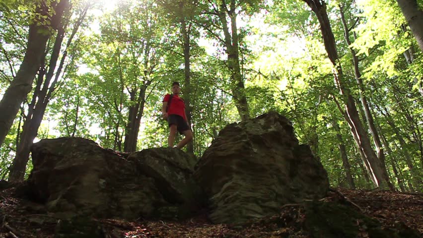 Hiker in a forest