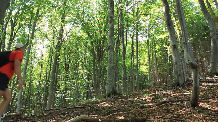 Man walks through a forest 