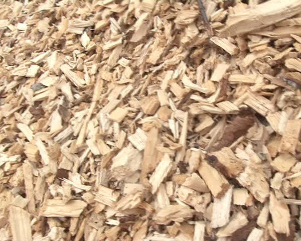 closeup of pile of shavings sawdust chips. ecological renewable biofuels from wood.