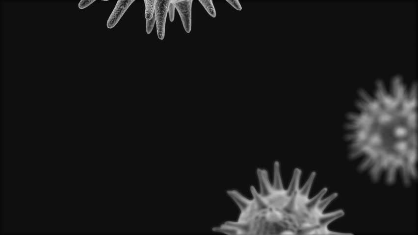Rotating and moving viruses 3D rendered on black background with focus effect