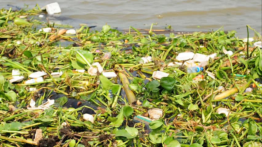 polluted River full of rubbish showing environment 
