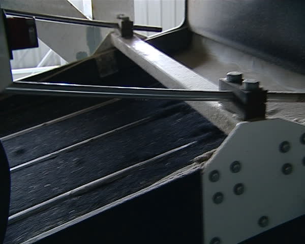 rape seed sifting special equipment machine. organic rape oil and biodiesel fuel production workshop industrial factory closeup