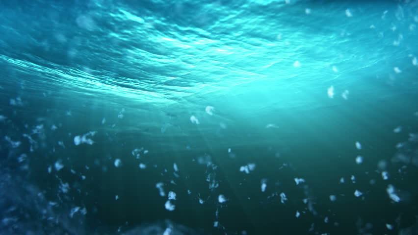 Muddy underwater view in a seamless loop