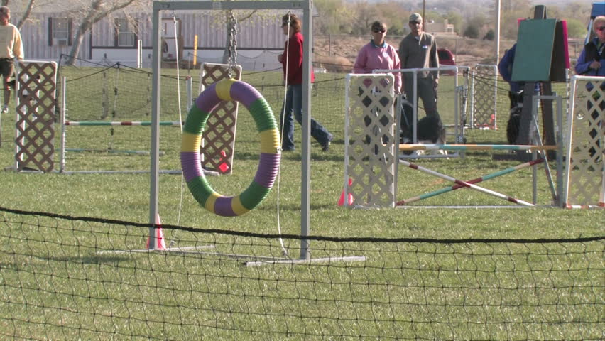 BELEN, NM - APRIL 7: An expert class Border Collie runs with an unidentified woman in Belen, NM while competing in the April 7, 2012 AKC Agility Trials sponsored by Valencia Valley Kennel Club of NM.