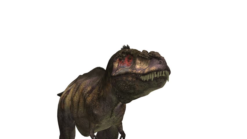 dinosaur