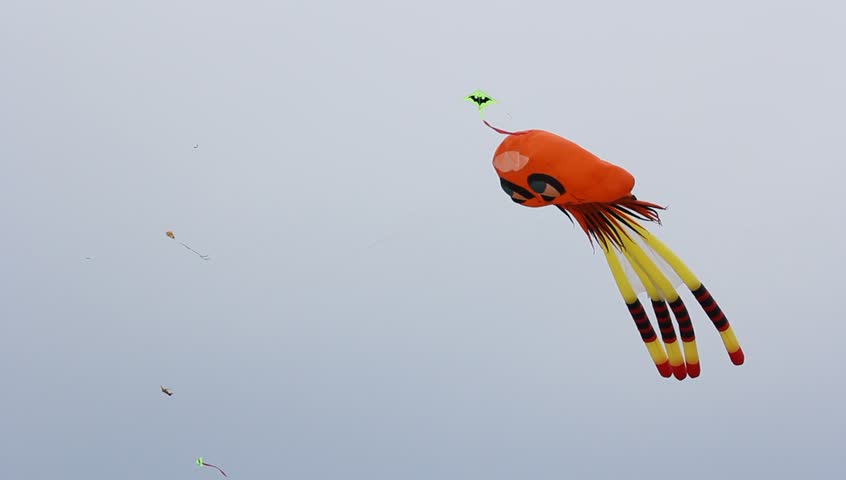 Octopus kite