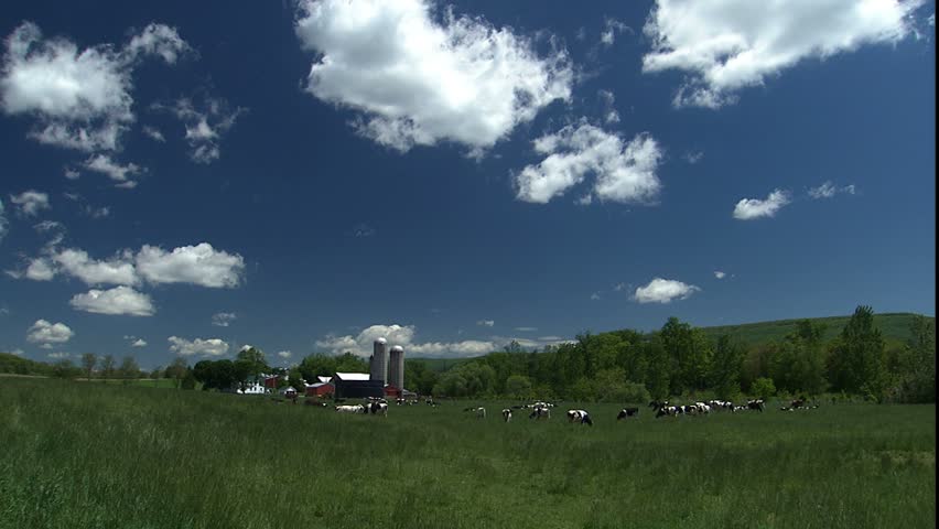 dairy farm in western Maryland